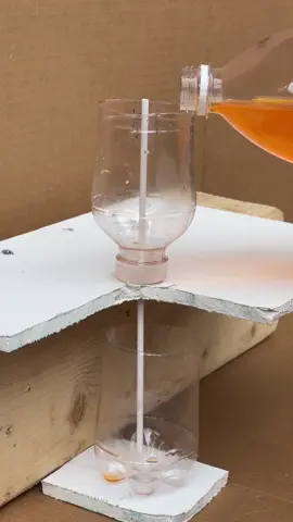 Water transport - principles of physics #tipsandtricks #tips #DIY 