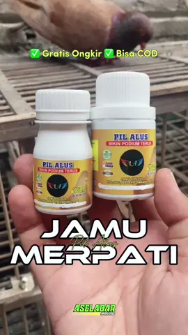 [PIL ALUS] Jamu merpati 100% herbal yang sedang viral di tiktokshop. #CapCut #hobimerpati🕊️🕊️ #merpatilovers #merpatikolongindonesia #fyp #xyzbca #Tiktok #foryou #tiktokshopindonesia 