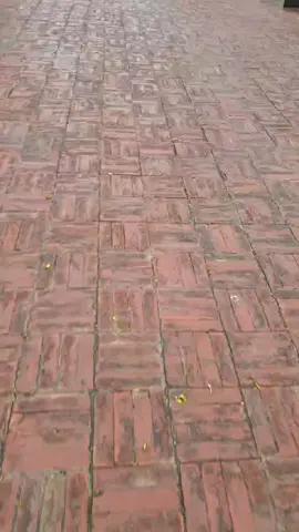 #foryou #fyp #foryoupage 