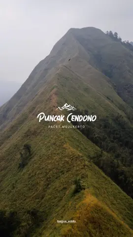 Puncak Cendono Pacet,Mojokerto #puncakcendono #bukitcendonopacet #droneshot #dronevideo 