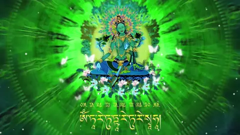 Nhạc Thần Chú Lục Độ Phật Mẫu - Green Tara Mantra ✨🍀  Om Tare Tuttare Ture Svaha 🍀  Nguồn: Diệu Âm Như Lai  #greentara #greentaramantra #phatphap #phatphapnhiemmau #phatphapvobien #phatphapnhiemmau🙏🙏🙏 