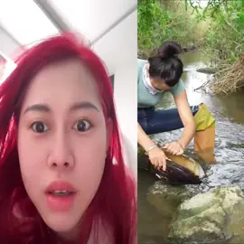 #vietphuongthoa#giaitri#vuinhon