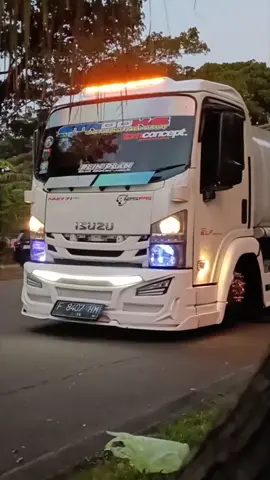 #fypシ #fypage #trukmbois #trukmaniaindonesia #drivermuda #bogorgayabebas🤙 