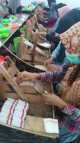 Pelatihan Pembuatan Rokok#rokokaceh