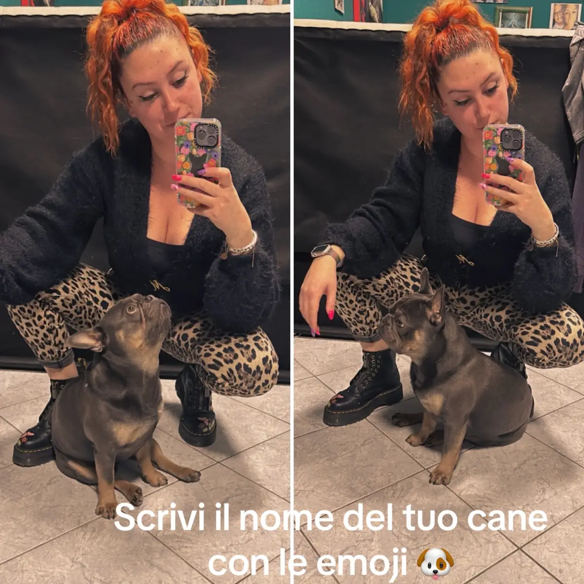 #bulldogsoftiktok#frenchiesoftiktok#bulldoguefrances#lovedogs#perte#viralvideo#trend#frenchiemom#sparky