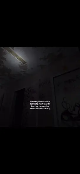 its always the good ones that are on the other side of the world from you #fyp #cof #cryoffear #viral #xyzbca #simonhenriksson #us #real 