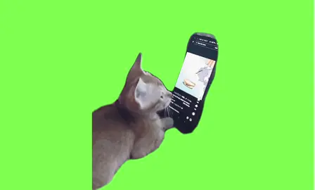今配信中📱 #ミーム素材 #fotyou #スマホ#閲覧#capcut #tiktok #携帯