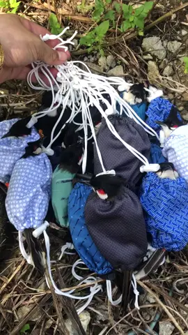 Hàng đấu cuối mùa,Chỉ cần ae follow và tym nhắn trực tiếp được giảm cực sốc#chaomaohoaithuan#chaomaobbaydau 