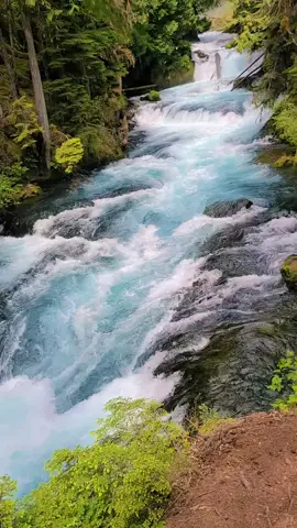 Enjoy this beautiful view of nature #nature #beautifulview #waterfall #pnw #pnwonderland #oregon 