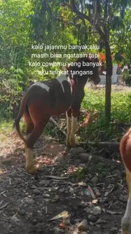 #ekspresikan2023 #EkspresikanDenganCapCut #CapCut 