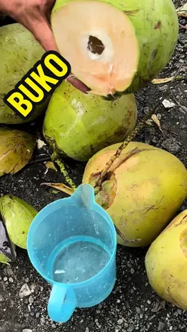 Unli fresh buko juice sa probinsya 🥥🌴 #Buko #FreshBukoJuice #BuhayProbinsya #GutomForever 