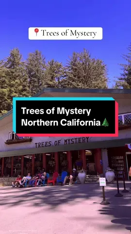 This place was busy and it made me miss the solitude of trails but, so much fun to explore with the kids💚 Trees of Mystery in beautiful Northern California is a must see🙌🏻 *#norcal #northerncalifornia #idaho #traveltiktok #familyvacation #sahm #redwood #redwoodscalifornia #redwoodnationalpark #redwoodtrees #creatorsearchinsights