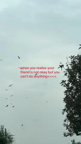 #realreal #sadcore #mentalhealthmatters #softcore #thenbhd #foryou #fyp #real 