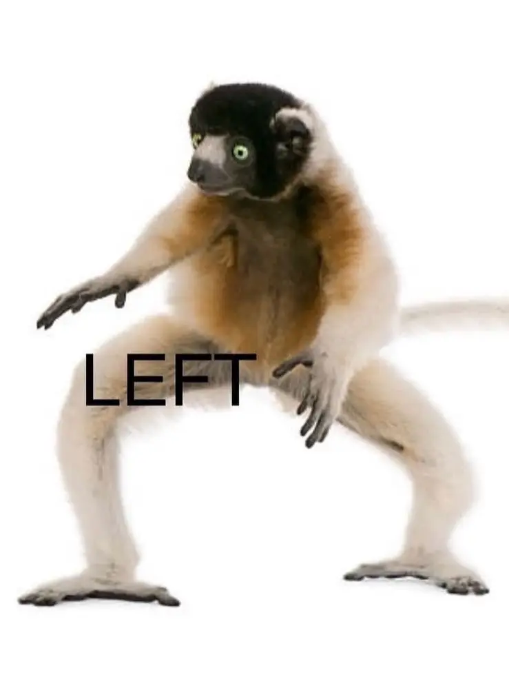 FOLLOW DA LEADER LEADER LEADER 🗣️🗣️🗣️  #fypシ゚viral #fypシ 