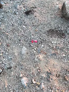 #CapCut emang kamu bisa? 