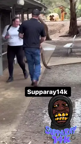 @Supparay14k @Supparay14k 