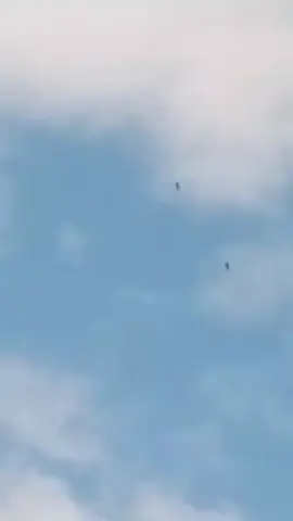 LO ÚLTIMO. Ministerio de Defensa Ordena Operaciones Ofensivas en el CAUCA, más de 3000 hombres de Fuerzas Especiales ingresaron a retomar el Cañon del Micay. #NoALasFARC , #ColombiaSinTerror , #NomásViolencia.