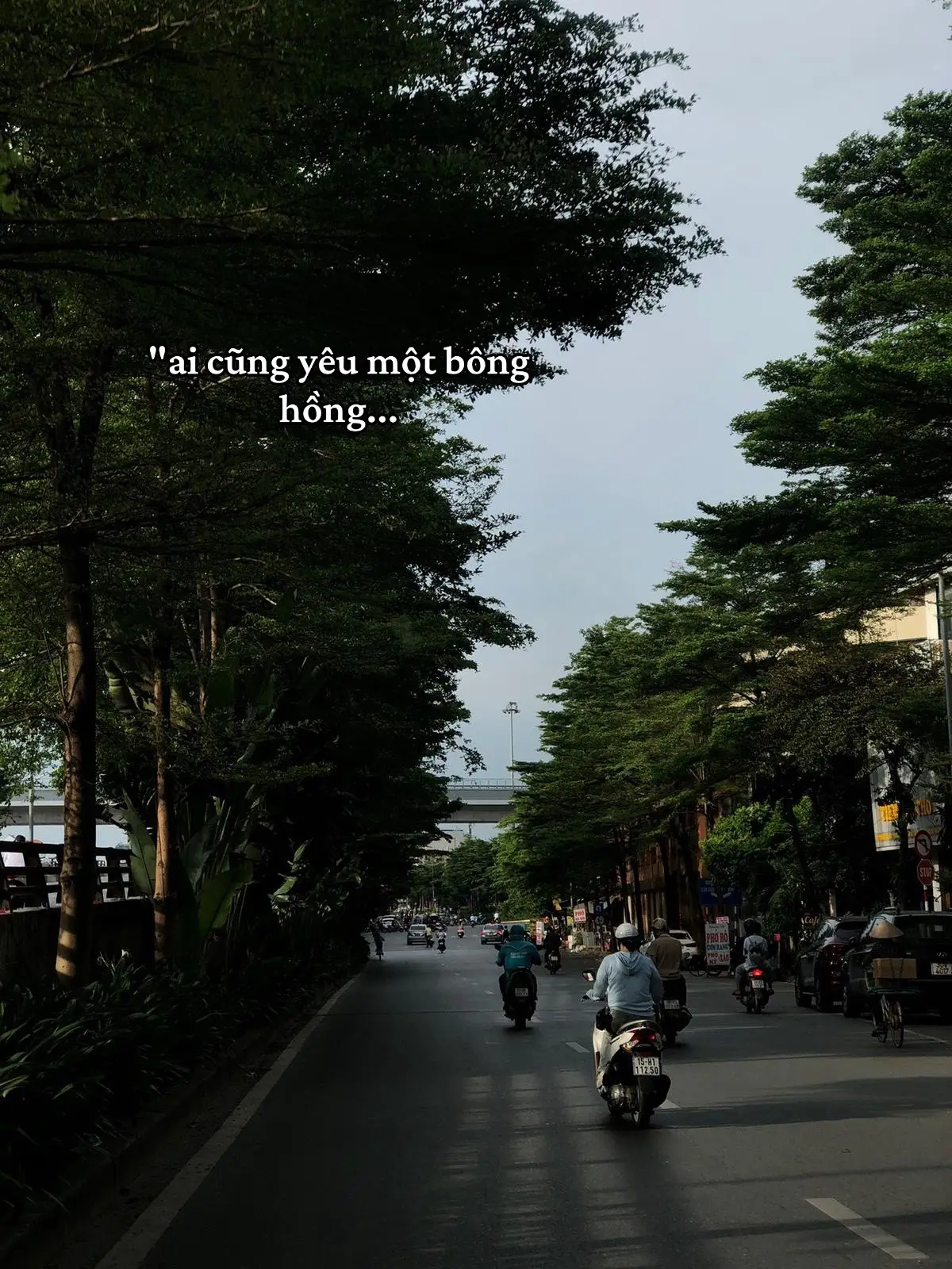 #tamtrang #anhnhoem #fyp 