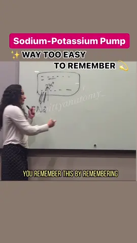 ✅You are NOT FORGETTING IT EVER AGAIN🤩 Sodium-Potassium pump is extremely easy to remember! Watch the video and let me know what you think 😎  🧠FOLLOW @dr.benaduce_explains and keep your anatomy sharp!💫📚 Video edited by @maria.lynnette  #drbenaduce #wittyanatomy #humananatomy #humanbody #anatomy #learningontiktok #biology #science #sodiumpotassiumpump 