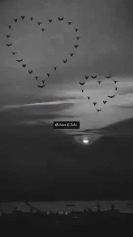 Part (2) Duniya Jhoti Lagti Ha🖤#abubakarkisadia❤️😘 #blackvideostatus #foryou #fypシ #unfreezemyacount #foryoupage 