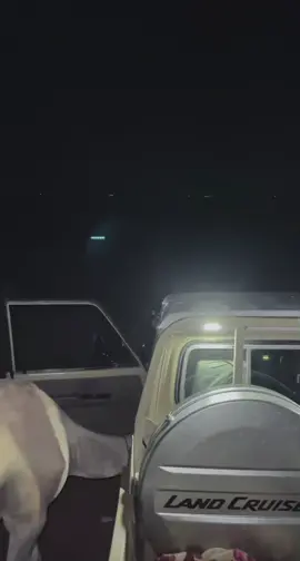 #اكسبلور_تيك_توك #الدوادمي #لايك__explore___ #اكسبلورexplore #اكسبلور_تيك_توك 