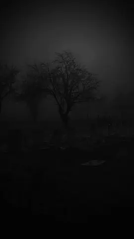 realmadrid# باجر لاتجيني بين الگبور💔