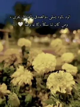 #CapCut الــود بـالـود يـسـقى والـصدق بـالـصدق يـجـزى ومـטּ ڪاטּ لــنا ســڪـنــاً ڪنــا لــهُ وطــنــاً 🤍🎻#fypシ゚ #اعادة_النشر🔃 #تصميم_فيديوهات🎶🎤🎬 #fypシ゚viral #ستوريات_متنوعه #اكسبلورexplore #مجرد_ذووقツ🖤🎼 #موسيقى #____________________ #❤ 