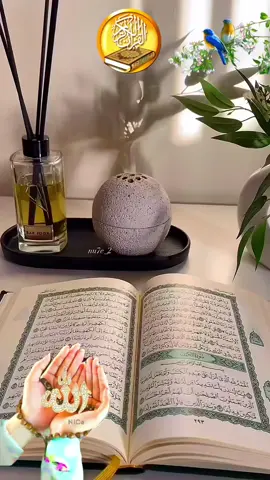 #ياالله_ارحمنا_برحمتك_ياارحم_الرحمين #اللهم_اغفر_لي_كل_ذنب_اذنبته #يارب #يارب_اجبر_كل_قلب_مكسور #صباح_الخير #دعاء_يريح_القلوب #دعاء_مستجاب #اصبحنا_واصبح_الملك_لله #دعاء_يوم_السبت 