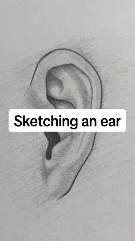 All you need is a pencil and paper #pencildrawing #drawingtips #pencilart #sketching #drawing 