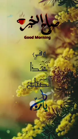 #صباح_الخير #دعاء_الصباح #صباحكم_أحلى_صباح #اسعد_الله_جميع_اوقاتكم🌹🌹 #دعاء#صباح #يوم #اللهم_امين #حالات_واتس #ستوريات #foryoupage #fypシ゚viral #goodmorning #ArabTikTok @Symba @Symba 