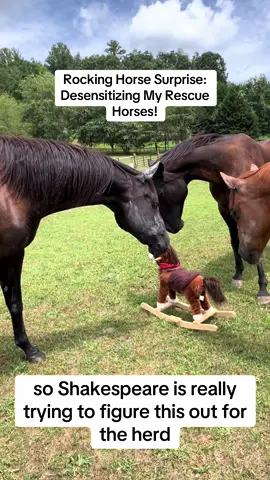 Check out Shakespeare, Wyatt, and Tru’s reaction to a toy rocking horse! 🐴 They went from cautious to curious to a bit spooked! 🤔🐎 It’s so important to introduce your horses to new objects to help them become more confident in different environments. Watch and learn about their body language and how to desensitize your horses! #HorseTraining #RescueHorses #EquineDesensitization #HorseCare #HorseLove #EquestrianLife #HorseTips #ViralHorses #EquineEnrichment #HorsesOfTikTok#rockinghorse #horselife 