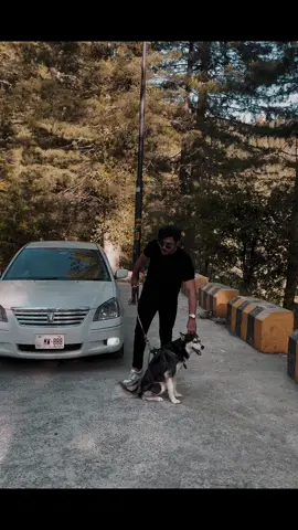 🐾🤍#nathigalli #husky #fyp #foryou #foryoupage #mountains #islamabad 