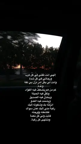القناة بالبايو .