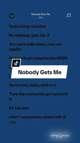 Nobody gets me 🎶 - SZA #HoneyLyricss #spotify #fyp #fullsong 