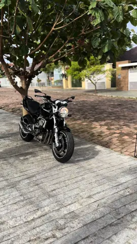 Hornet Carburada 🤪❤️‍🔥 #hornet #hornetcarburada #carburada600 