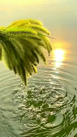 #CapCut #viralvideo #vodou #viv #manman #dantor 