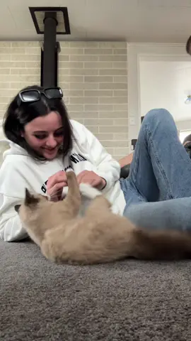 kittyyyy