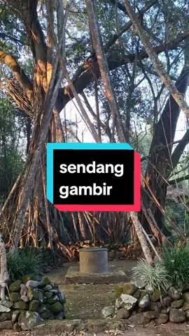 kalo ngecek di maps, ini tuh namanya sendang gambir ya guys. lokasinya di Randu acir. tapi disitu cuma ada batu seperti mangkok yg ada airnya. dan juga tempat ini sepertinya dikeramtkan #salatiga #exploresalatiga #sendang #foryourpage #viral #randuacir 