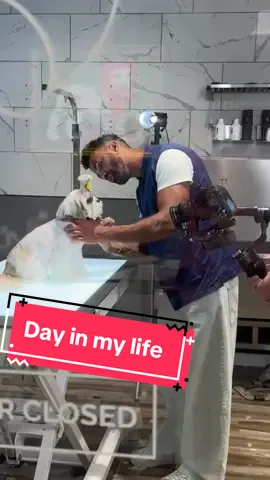 Day in my life :) #cutedogs #doggrooming 