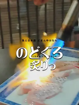のどぐろ✨ 一匹まるごと姿造り！ だけじゃない〜炙りもね♥ 脂のりよくって とろけちゃったぁ(●´ω｀●) 雲丹・イクラ・牡蠣の痛風盛りの大きさにびっくりΣ(ﾟ∀ﾟﾉ)ﾉ牡蠣ぷっくり♡雲丹はね、箱盛りや食べ比べもあったよ！ #魚と日本酒 #どまん中はなれ #秋葉原グルメ #秋葉原居酒屋 #秋葉原ごはん #美味しいお刺身　