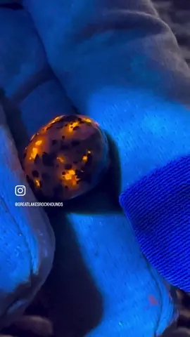 Found this little yooper on Lake Superior last night! #fluorescent #rock #yooperlite #beach #geology #lakesuperior #stones