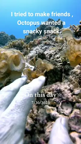 #onthisday 