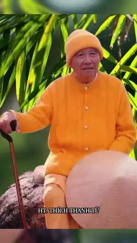 Pháp ngữ HT. Thích Thanh Từ #nammobonsuthichcamauniphat #xuhuongtiktok #xuhuong #LearnOnTikTok #rungtrucdonghuong #thienphaitruclam #thichthanhtu #suongtruclam #phatphapnhiemmau #nammoquantheambotat 