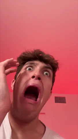 Yo cuando veo una araña vs. Mi madre
