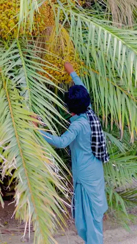 #foryou #watan #balochistan 