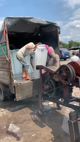 Say đá cho ae QNG đi hồng công bắt mực. #xuhuong #tiktokgiaitri #Giacao#quãngngãi 