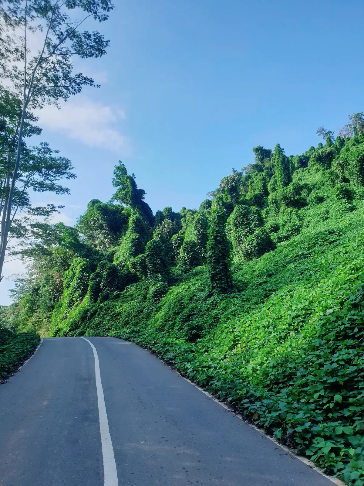 belum move on woii🤩 #pematangkaca #pesonakalsel #fyp 