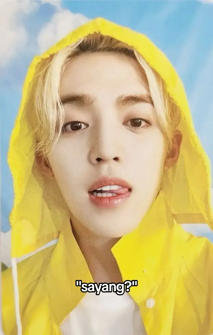 gws #scoups #seventeen 