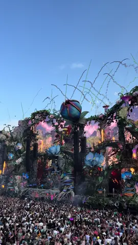What an incredible day! 🦋🎊 #tomorrowland #tml #boom #life #energy #peopleoftomorrow @Tomorrowland @Tomorrowland Forever 