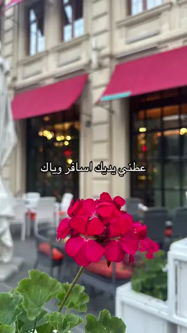 #حسين_الجسمي #عطني_يديك_اسافر_وياك #اكسبلىور #fypシ #مالي_خلق_احط_هاشتاقات #capcut 